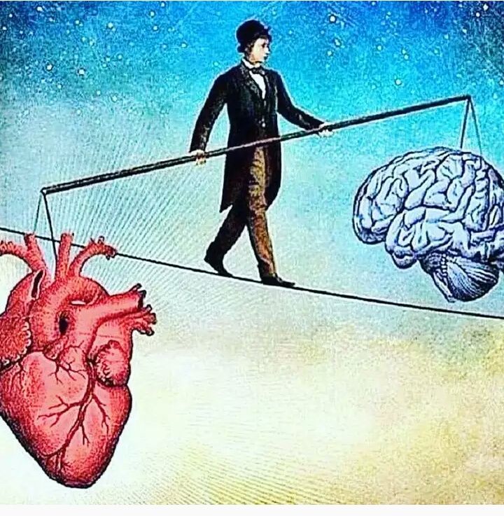 Equilibrio entre razão e emoções.